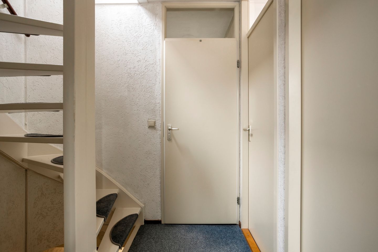 Foto 20 van Ganzebloem 21