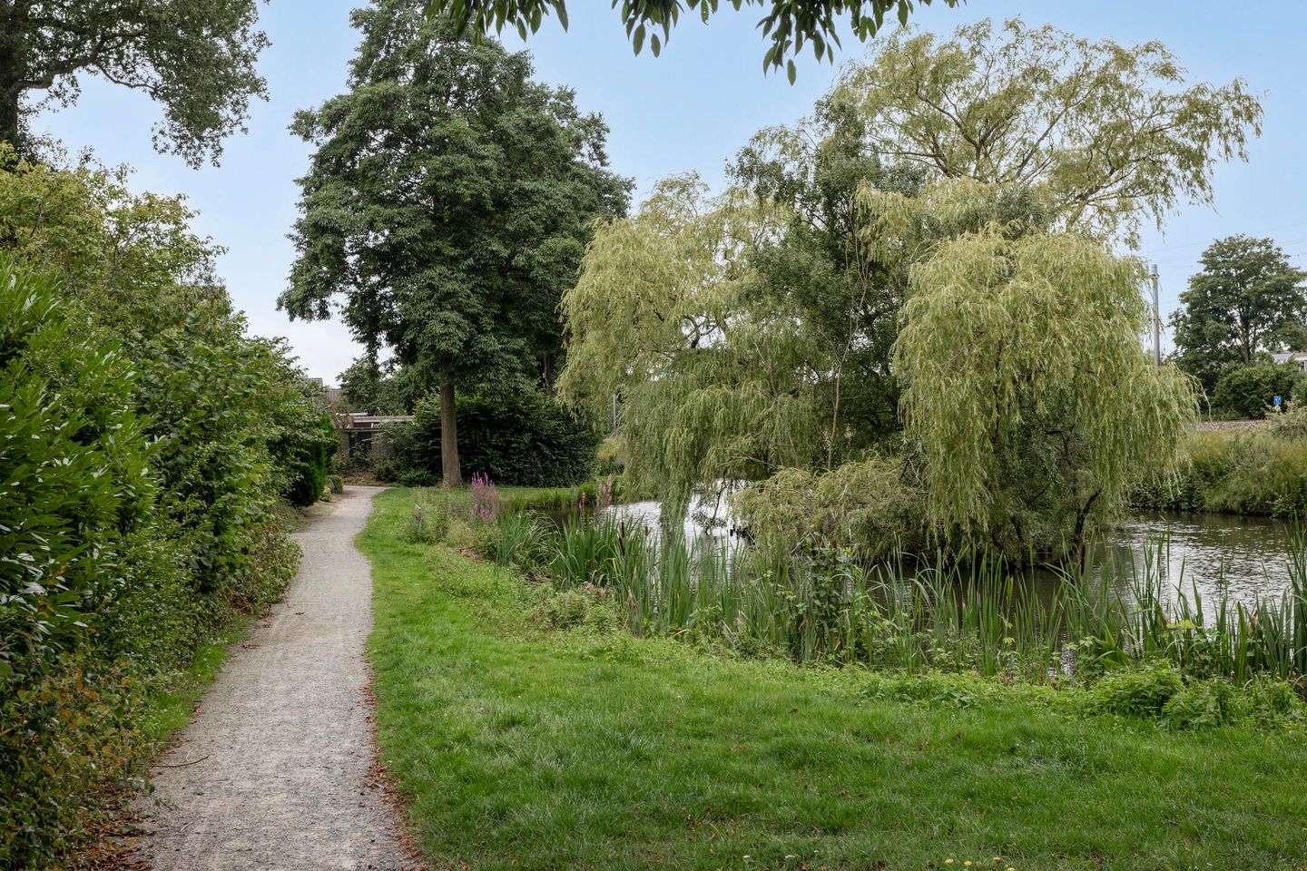 Foto 35 van Ganzebloem 21