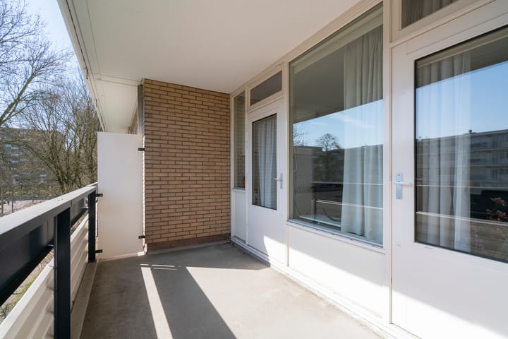 Photo 13 of Donau 26