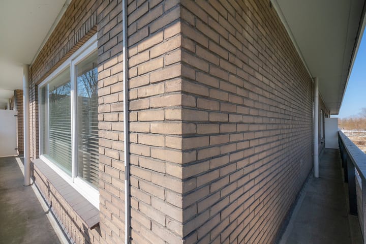 Photo 16 of Donau 26