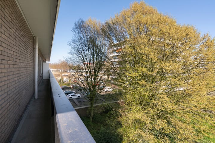 Photo 17 of Donau 26