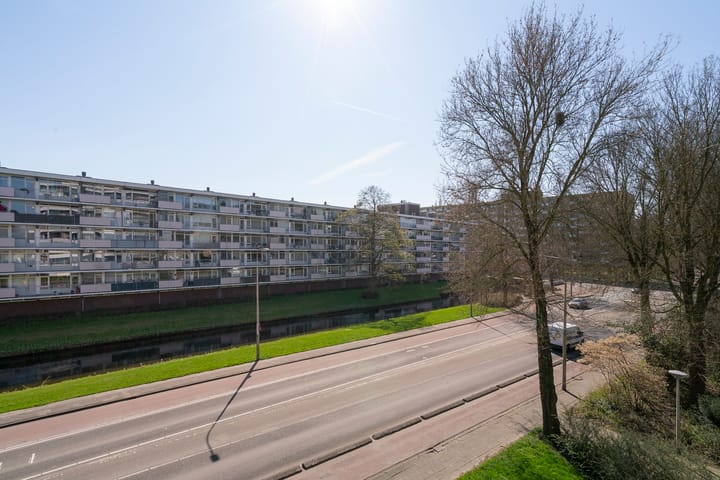 Photo 19 of Donau 26