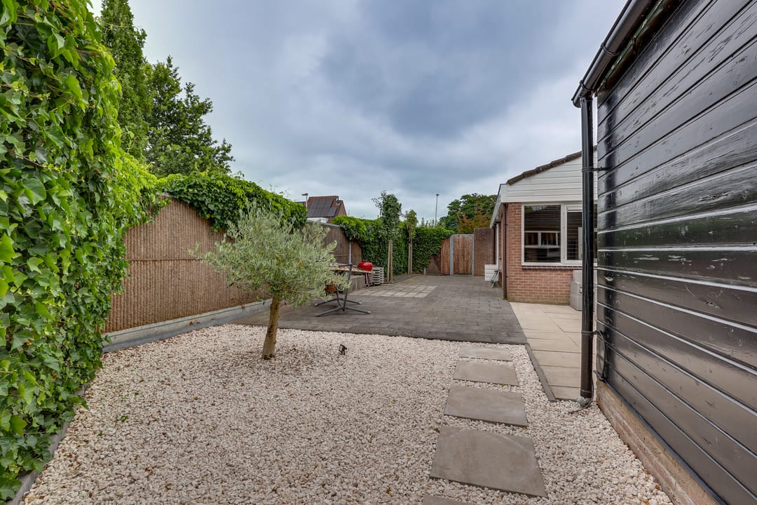 Foto 52 van Grote ratelaar 22