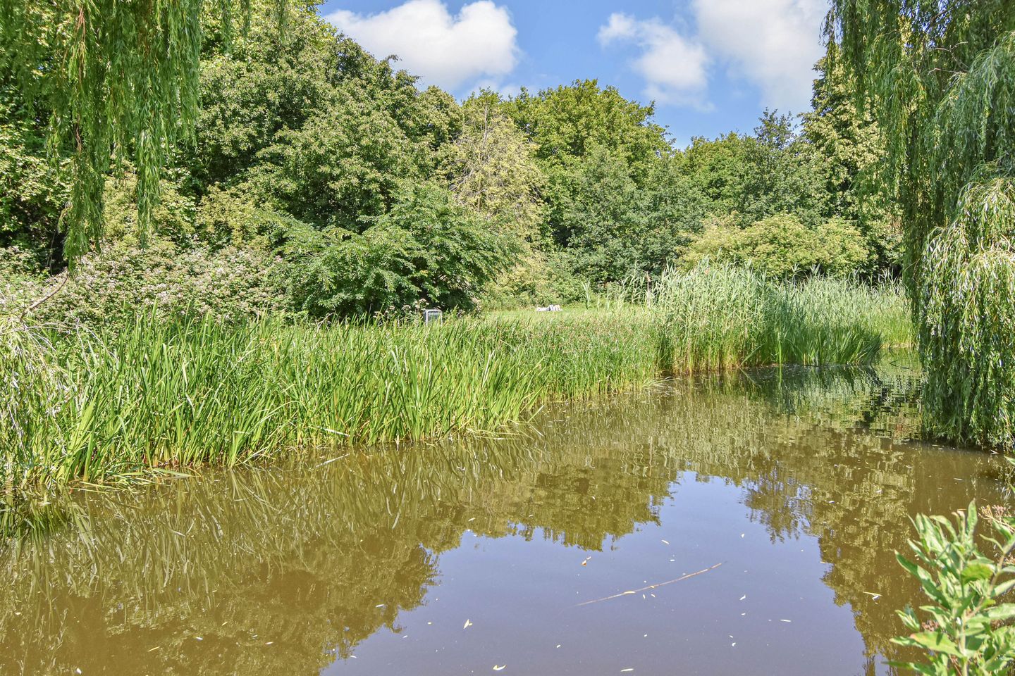 Foto 35 van Segbroeklaan 298