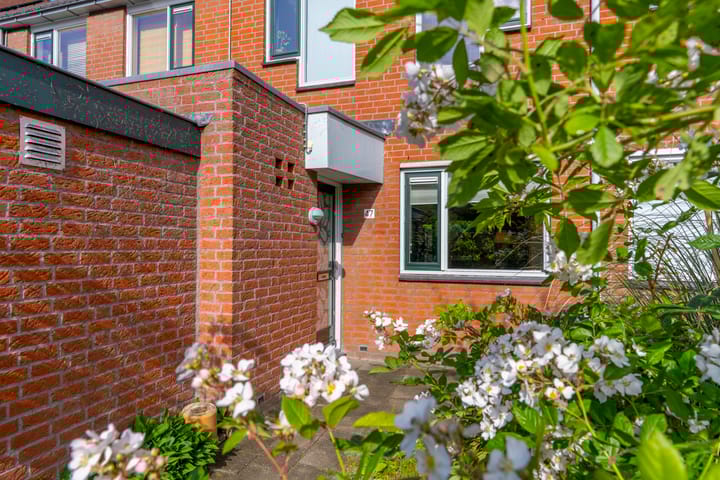 Foto 5 van Azoren 47