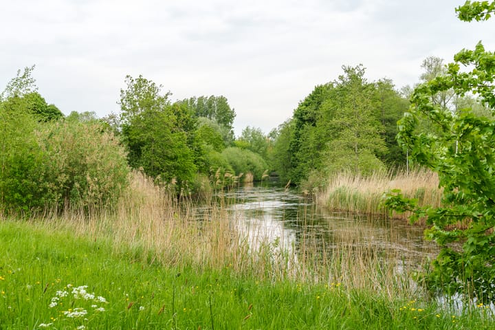 Foto 41 van Azoren 47