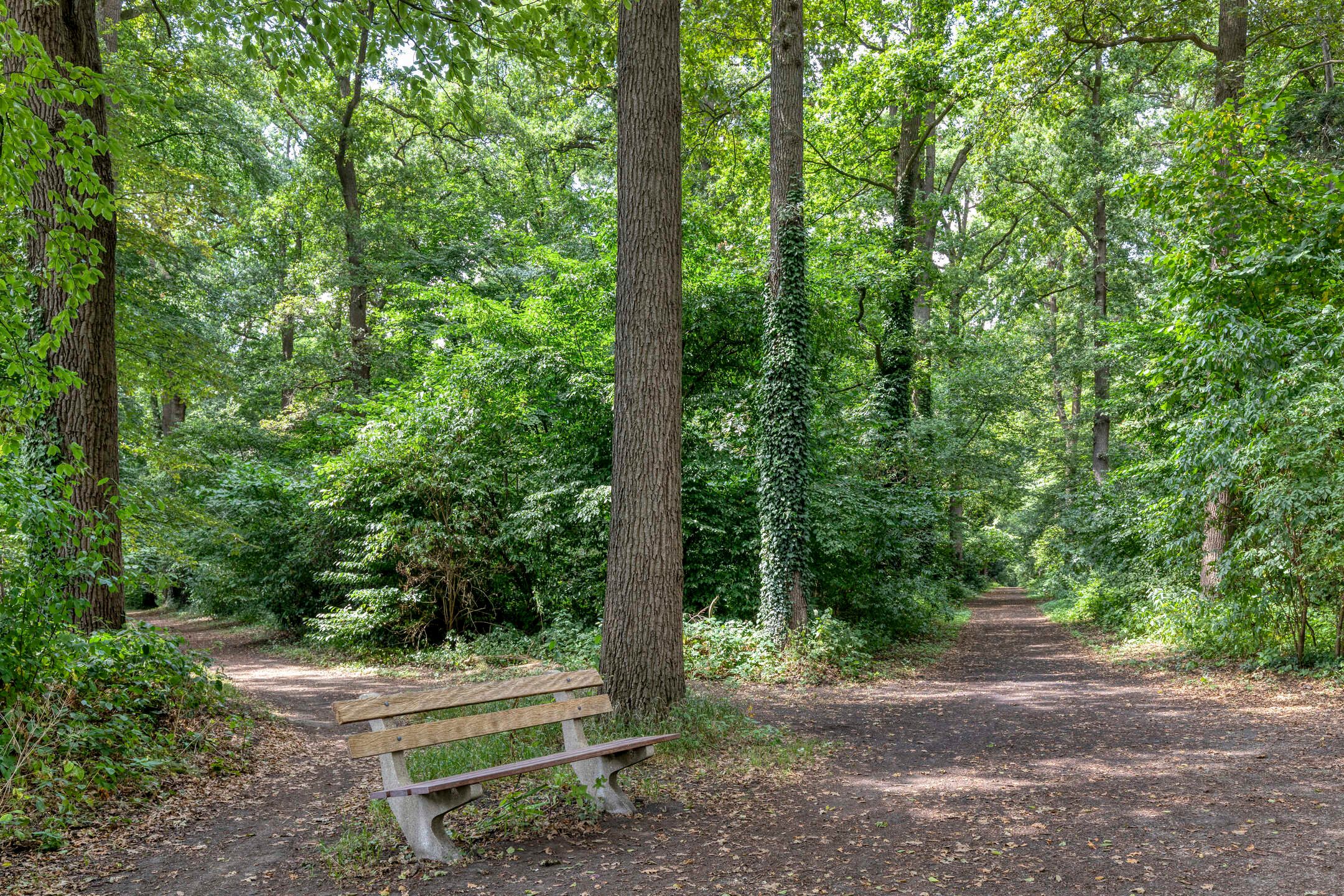 Foto 48 van Boerhaavelaan 4