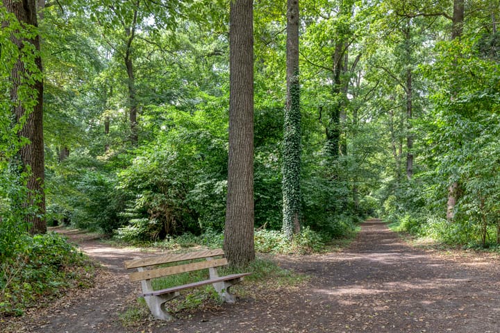 Foto 48 van Boerhaavelaan 4