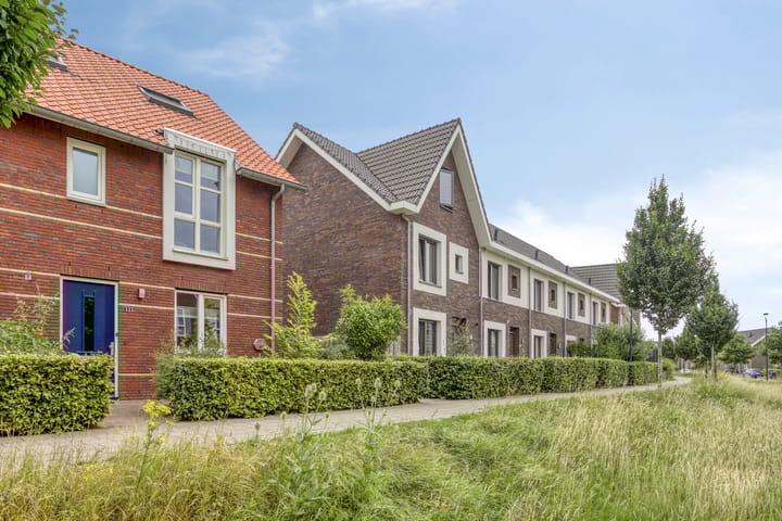 Foto 9 van Grote Boel 84