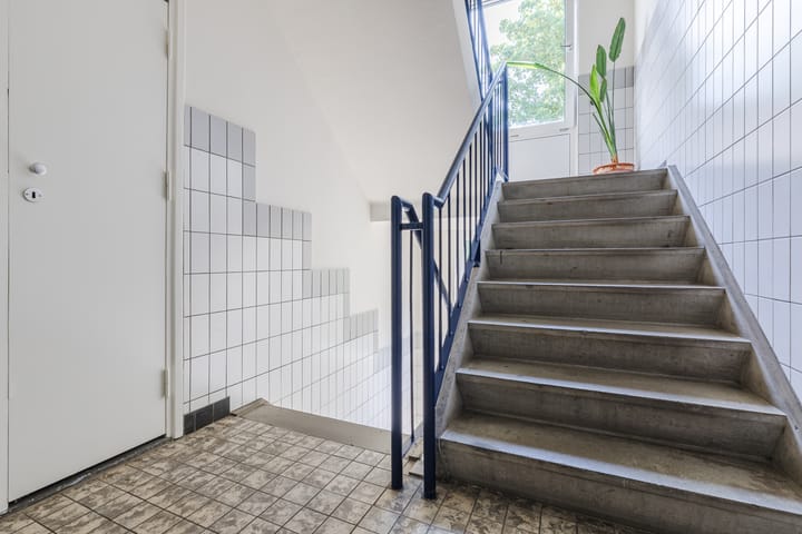 Foto 9 van Narcissenstraat 212