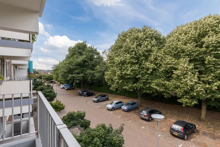 Foto 34 van Narcissenstraat 212