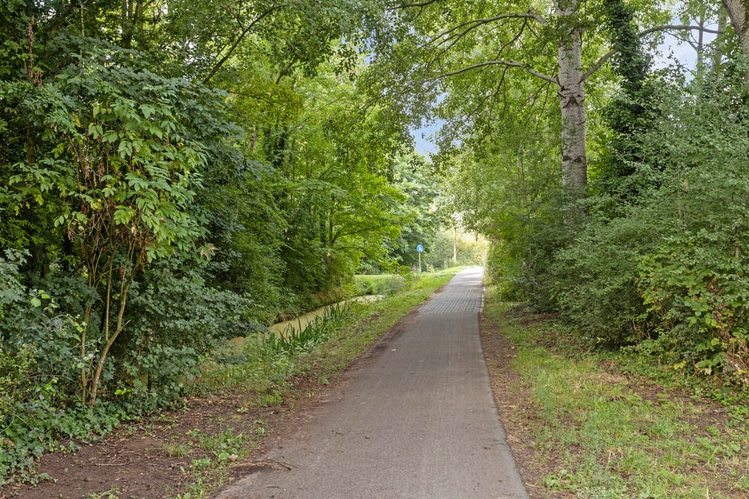 Foto 43 van Hendrik Chabotstraat 2