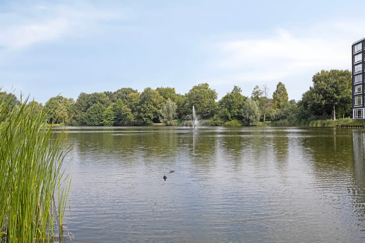 Foto 44 van Hendrik Chabotstraat 2