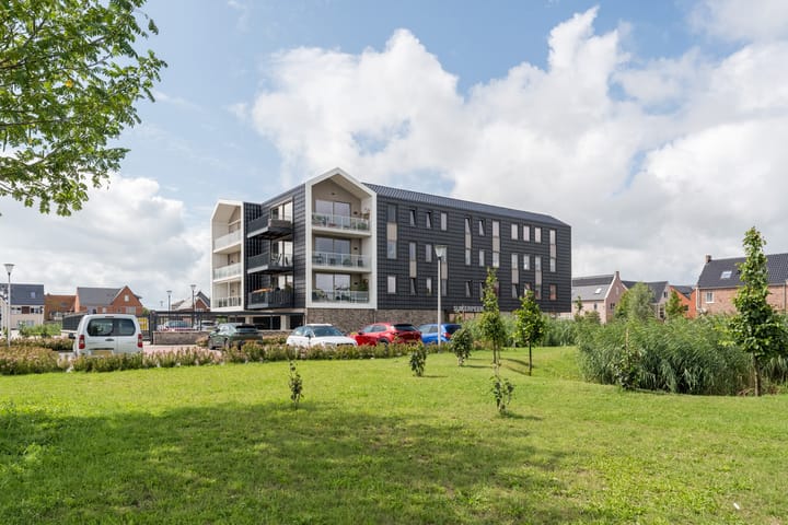 Foto 4 van Suikerpeer 13