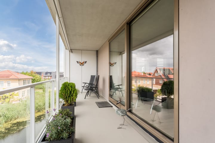 Foto 31 van Suikerpeer 13