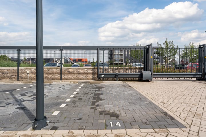 Foto 32 van Suikerpeer 13