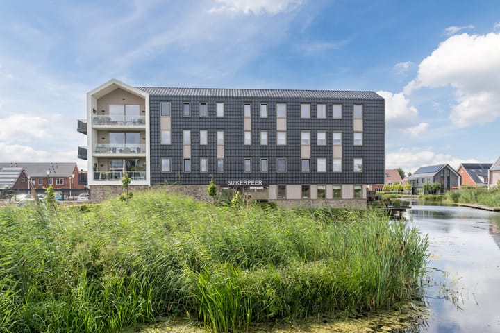 Foto 33 van Suikerpeer 13