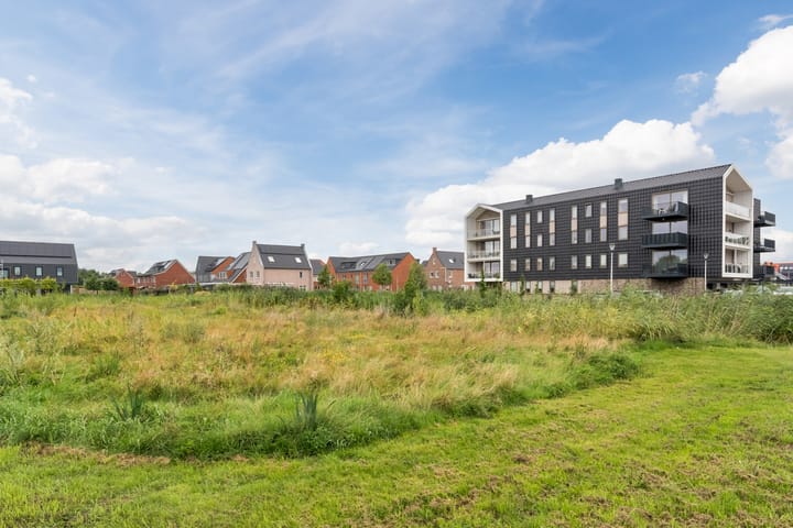 Foto 38 van Suikerpeer 13