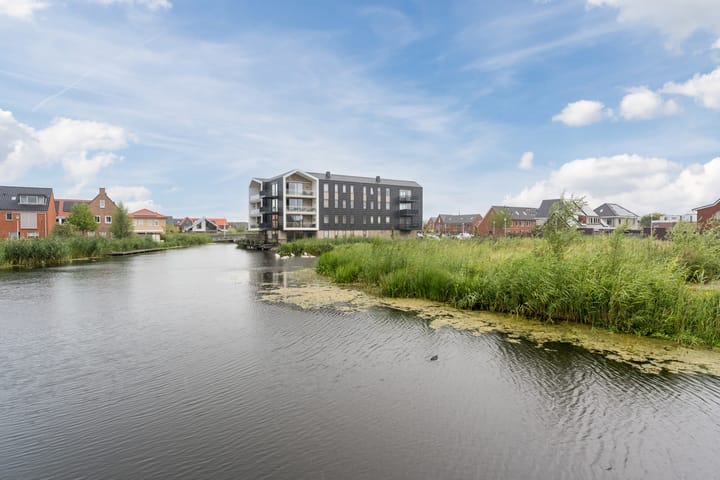 Foto 39 van Suikerpeer 13