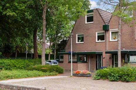 undefined main image