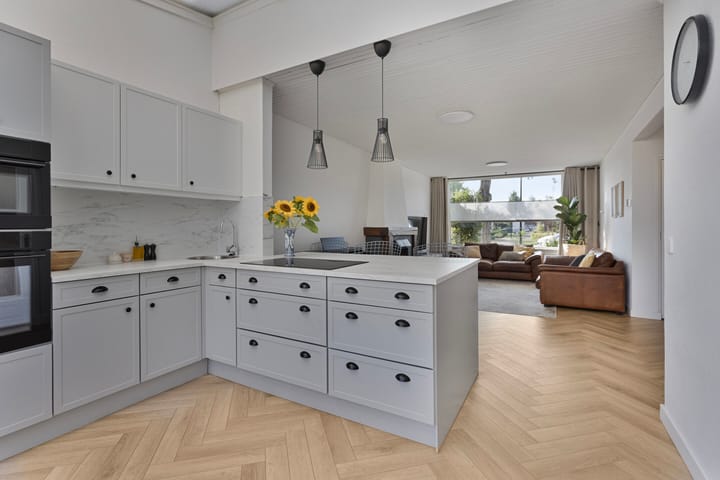 Foto 2 van Groen van Prinstererlaan 16