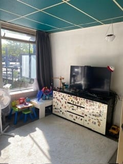 Foto 14 van H. Hartplein 28