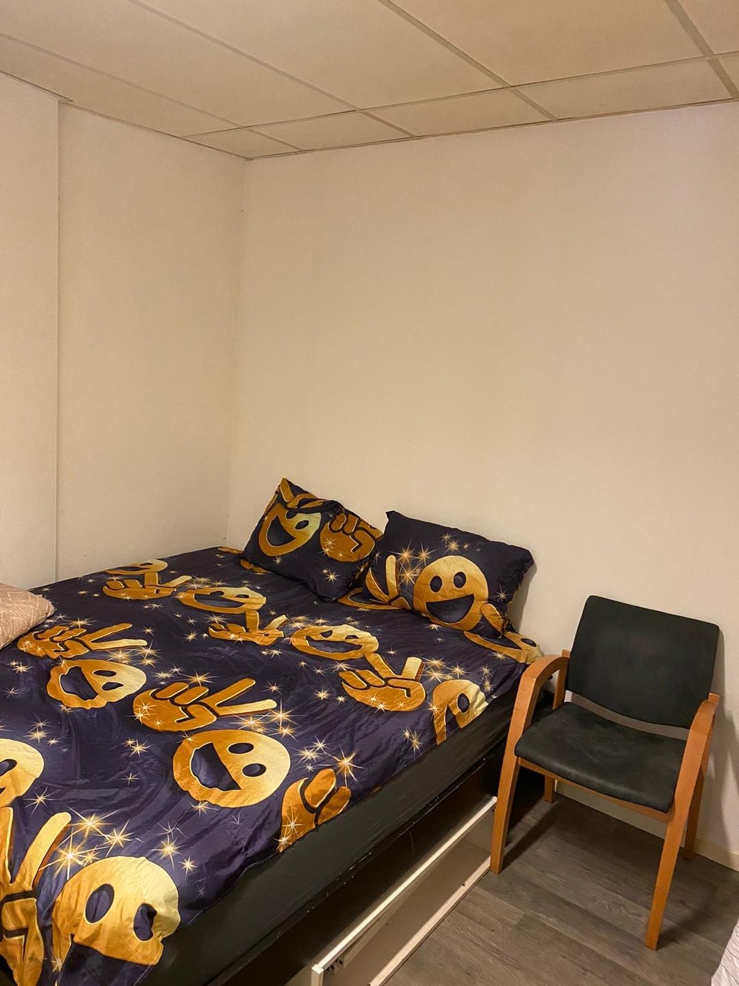 Foto 13 van H. Hartplein 28