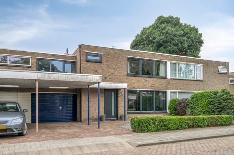 undefined main image