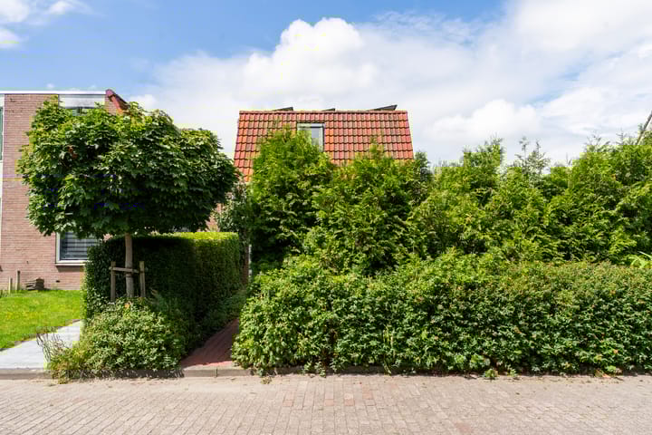 Foto 28 van Turfdyk 6