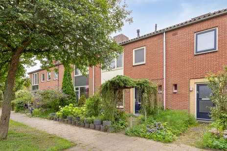 undefined main image