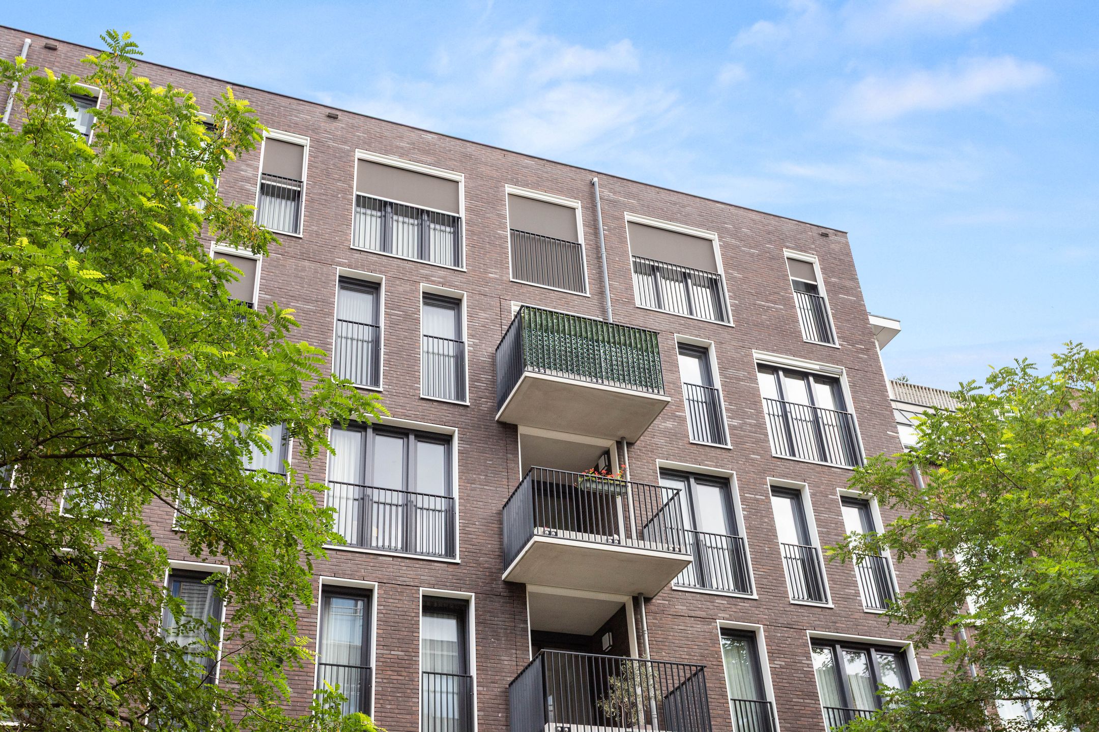 Korenschoofstraat 34 