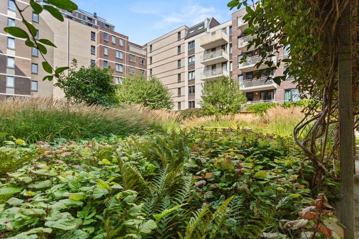 Foto 21 van Korenschoofstraat 34