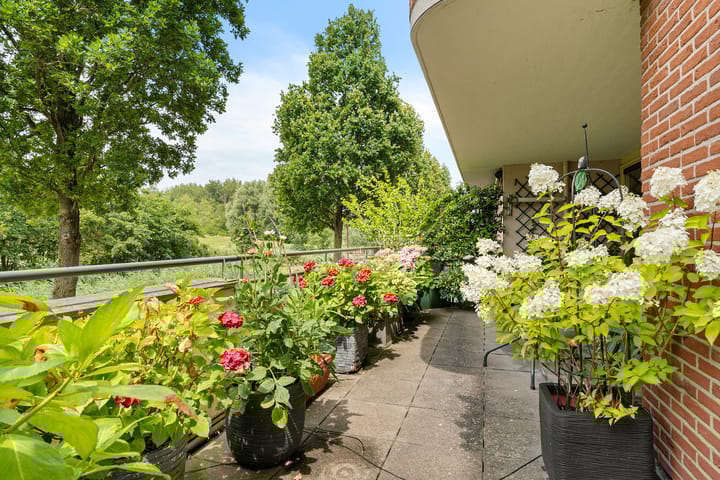 Foto 25 van Essehout 132