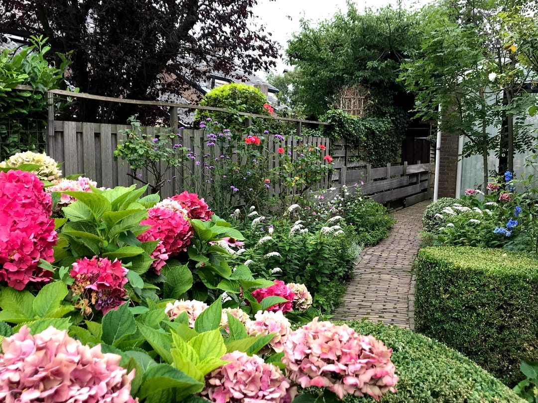 Foto 7 van Lijsterlaan 2-B