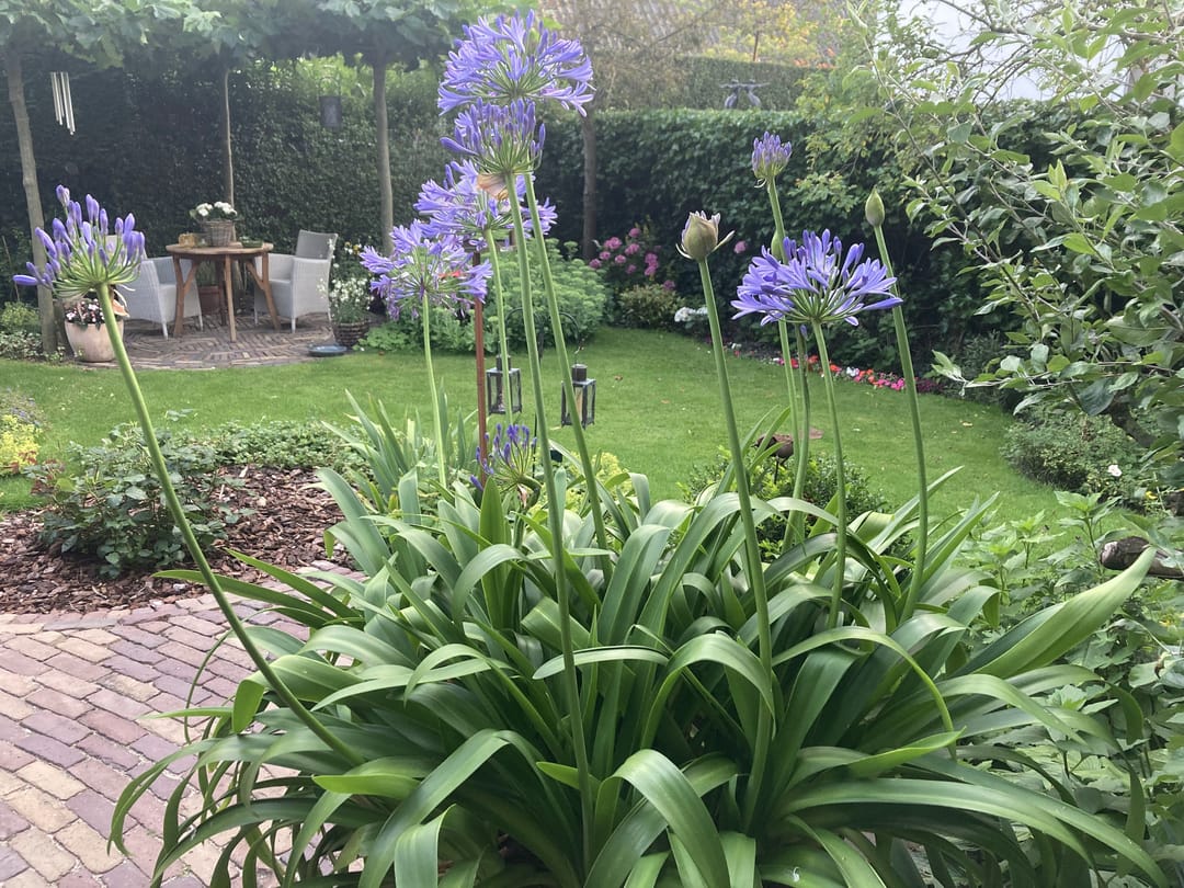 Foto 32 van Lijsterlaan 2-B