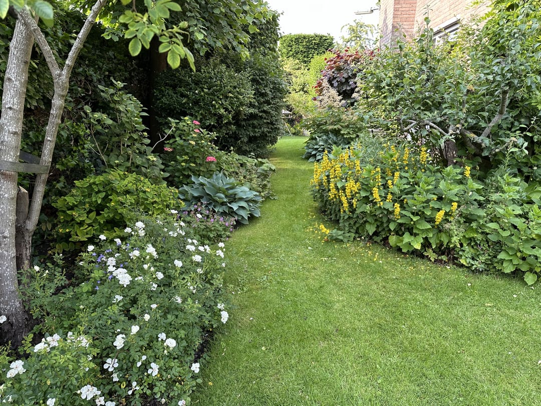 Foto 52 van Lijsterlaan 2-B