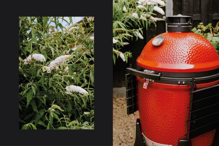 Foto 21 van Bieskamp 116