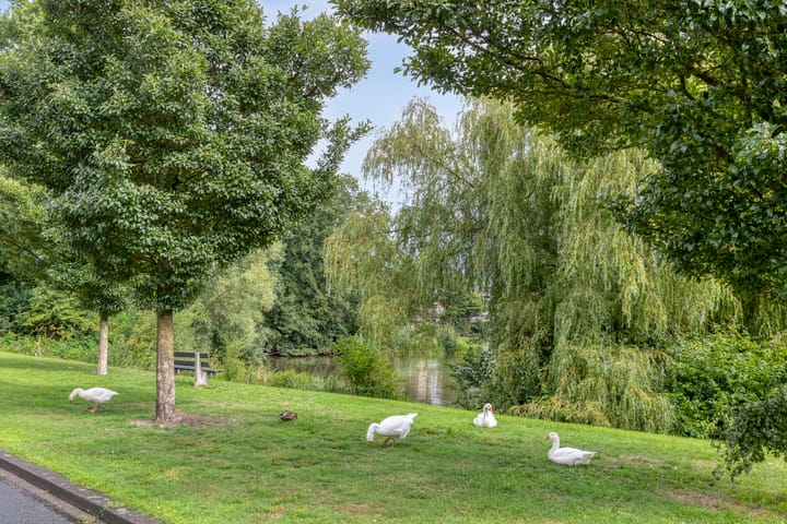 Foto 36 van Vincent van Goghstraat 16