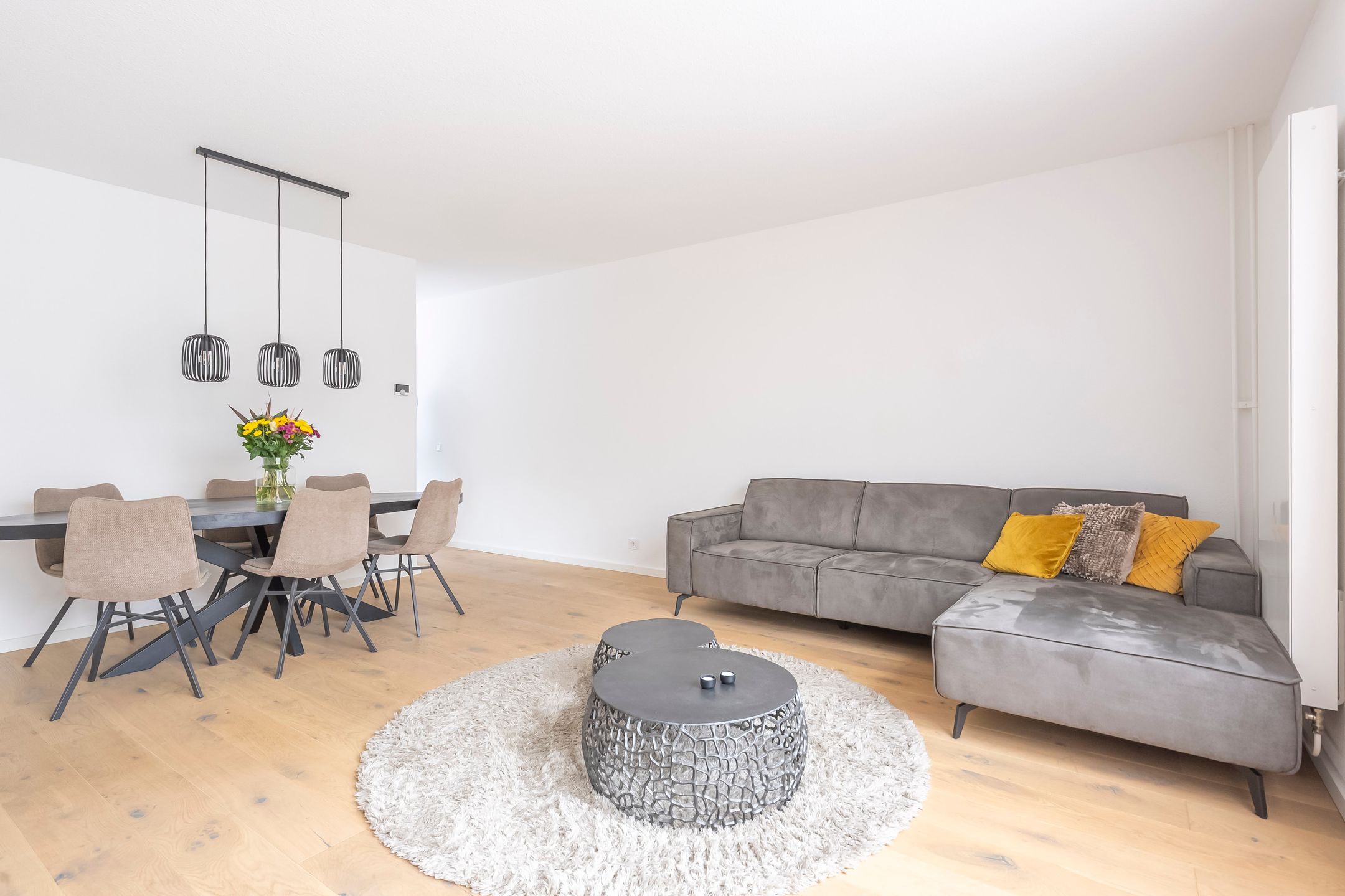 Photo 6 of Op de Knip 187