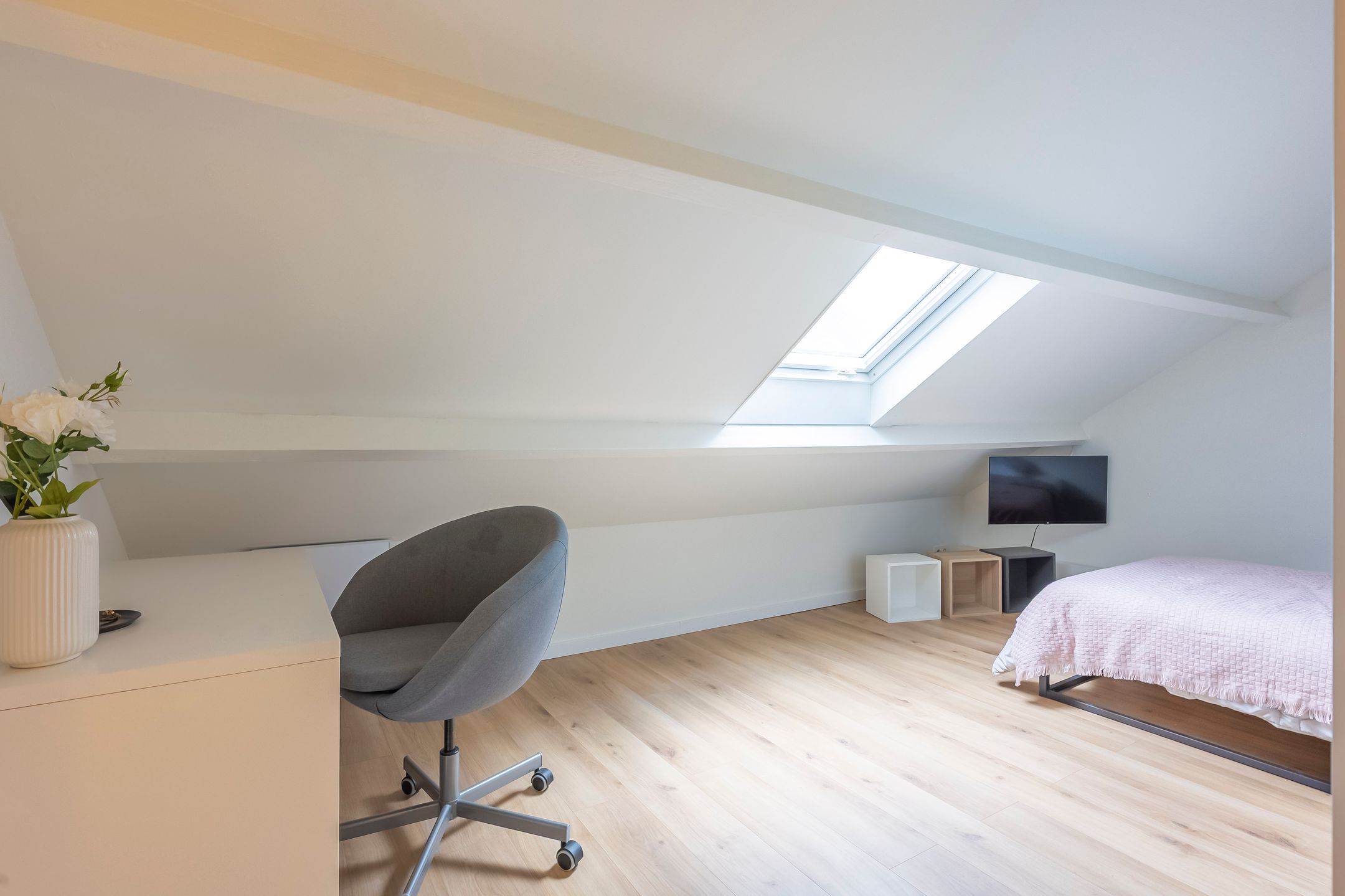 Photo 18 of Op de Knip 187