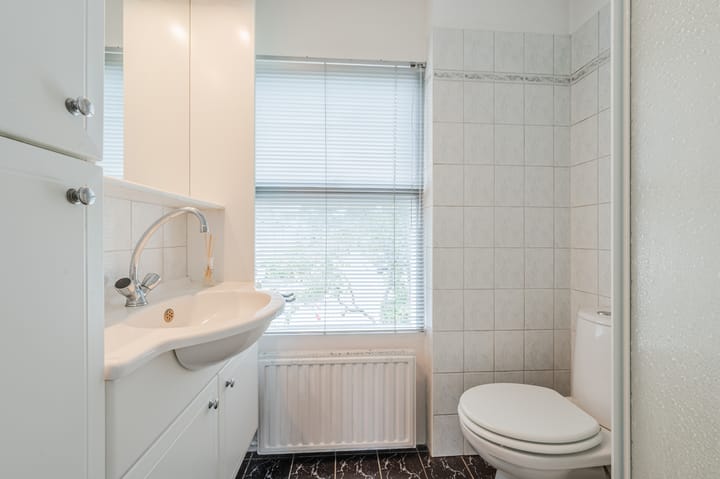 Photo 22 of Professor Van der Waalslaan 12