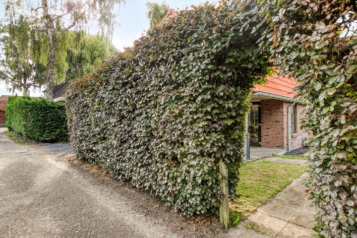 Photo 22 of Scheepjesbrug 120