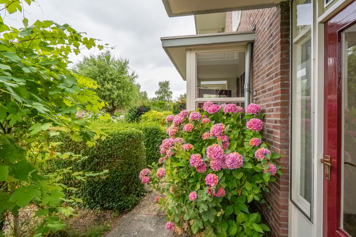 Foto 11 van Oosterpark 19