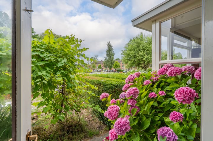 Foto 20 van Oosterpark 19