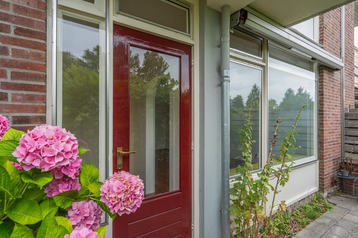 Foto 21 van Oosterpark 19