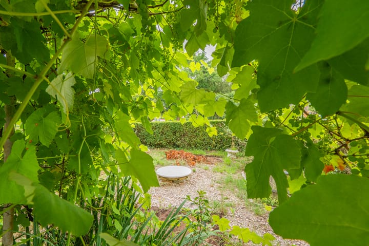 Foto 23 van Oosterpark 19