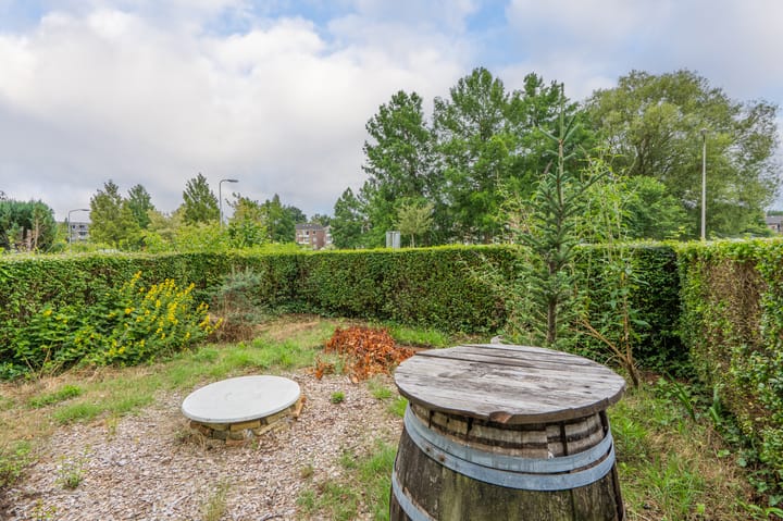 Foto 25 van Oosterpark 19