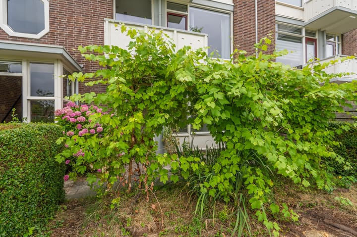 Foto 26 van Oosterpark 19