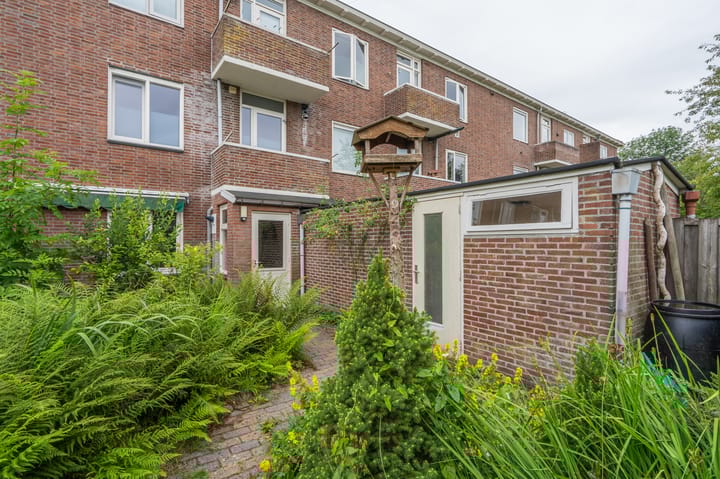 Foto 43 van Oosterpark 19