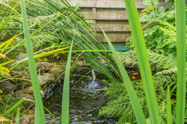 Foto 45 van Oosterpark 19